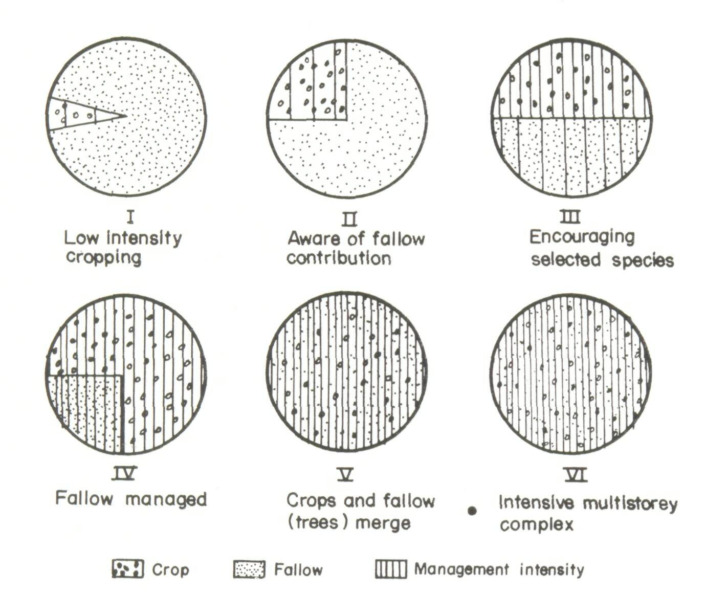 2_The development of alley cropping as a promising agroforestry technology